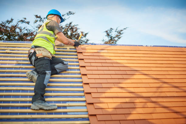 Best Roof Insulation Installation  in Holiday Island, AR